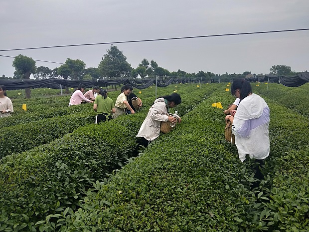 我校开展金坛现代农民“后继者”体验课程培训班